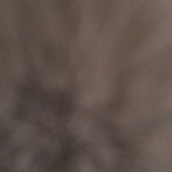 Meet your Posher, Daniel - Picture 1 of 1